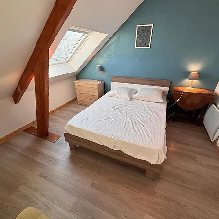 Ti Laja - Nuage De Coton 30m *